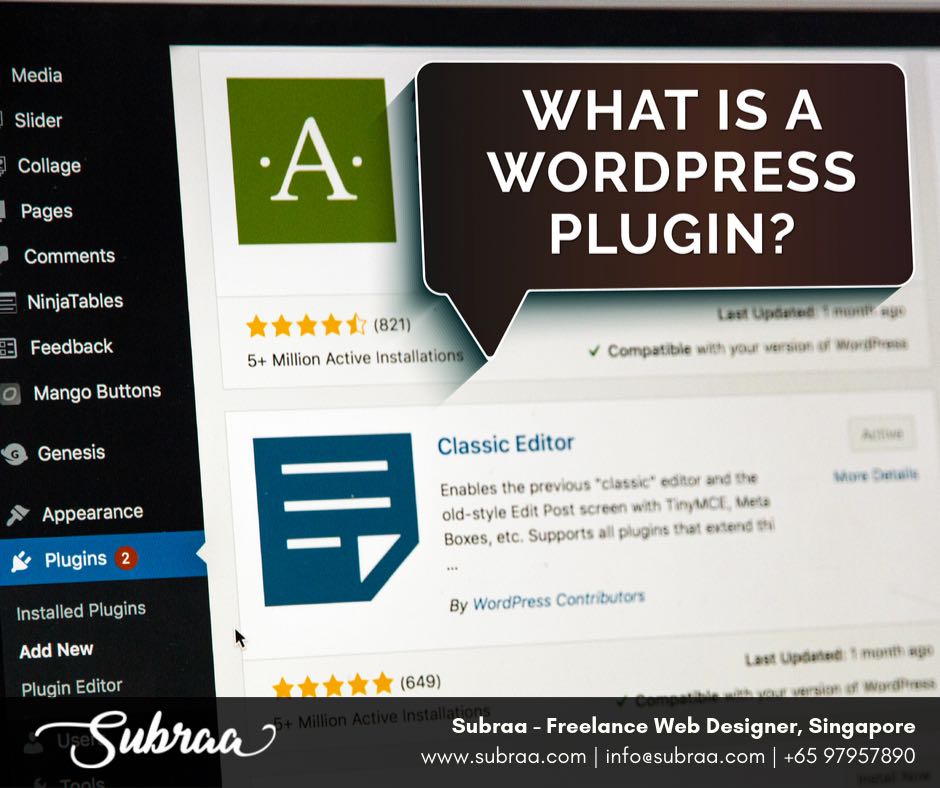 What is a WordPress plugin by Subraa, Freelance WordPress Developer Singapore
